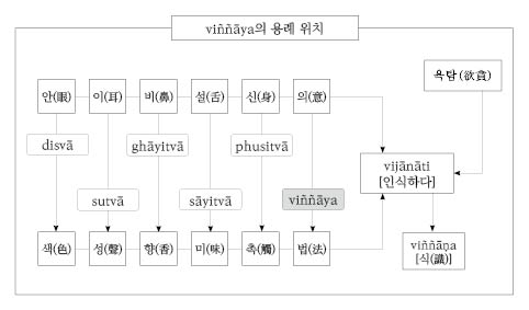 (MN43) viññāya의 용례 위치.jpg
