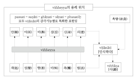 (MN43) viññeyya의 용례 위치.jpg