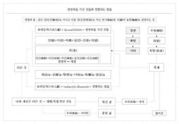 (MN43) 생명력을 가진 것들과 경험되는 법들.jpg
