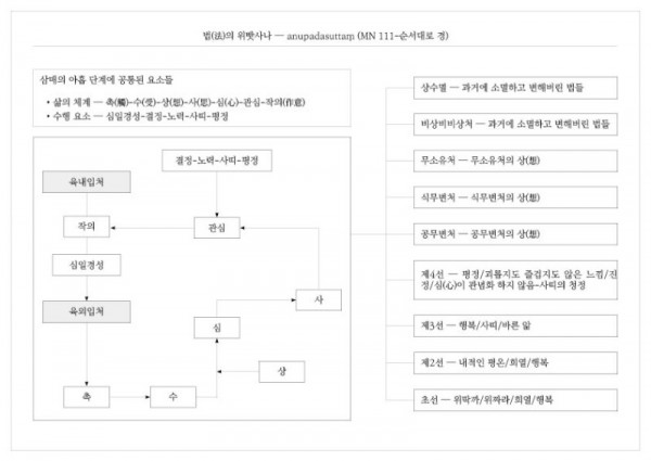 법(法)의 위빳사나 — anupadasuttaṃ (MN 111-순서대로 경).jpg